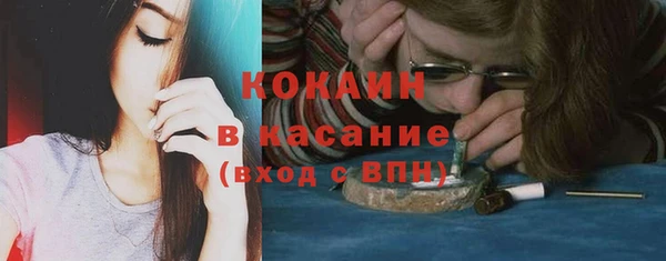 прущие грибы Баксан