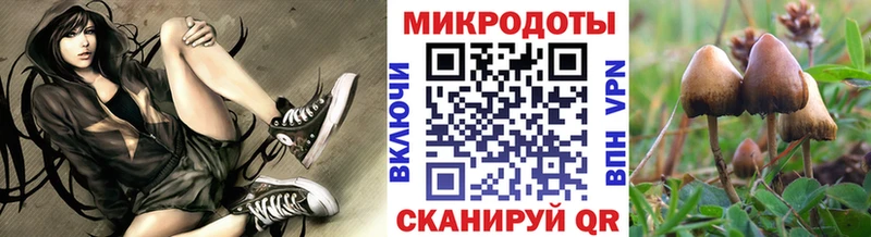 Галлюциногенные грибы MAGIC MUSHROOMS  Славск 