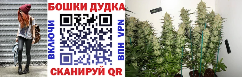Конопля OG Kush  Славск 